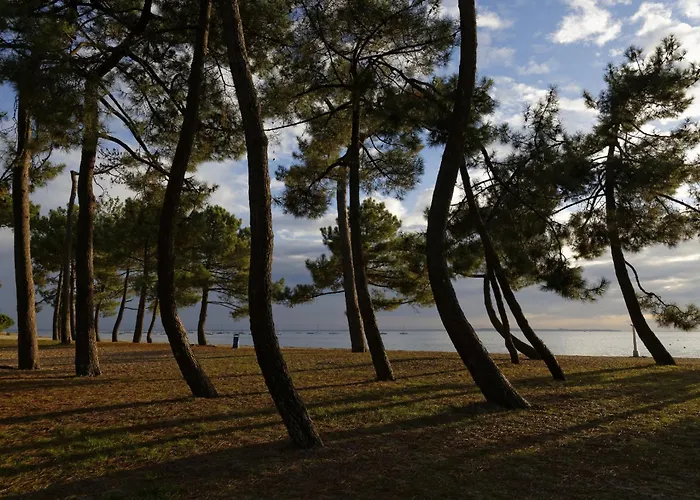 Vakantiehuis Jolie Maison Familiale Avec Jardin Pour 6 *